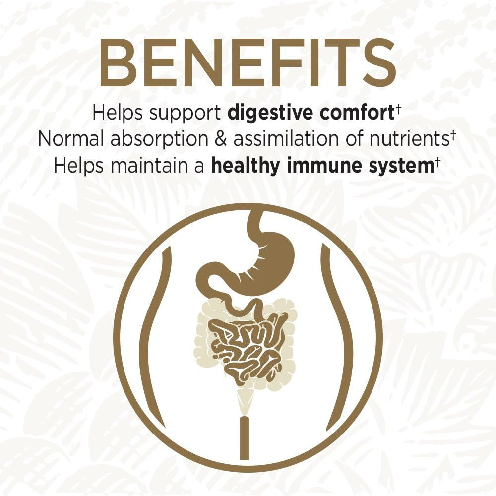 Primal Defense Ultra Ultimate Probiotic Formula - 15 Billion CFU and 13 Strains of Probiotics plus Hsos for Healthy Digestive Balance, Vegetarian and Gluten Free, 90 Capsules