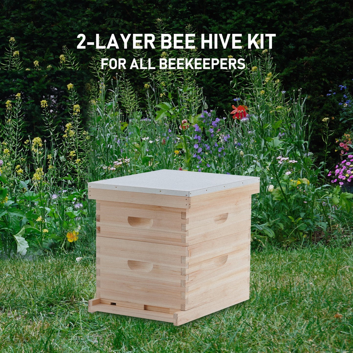 Complete Bee Hive Box for 10 Deep Frames 10 Medium Frames W/ Metal Roof for Beekeeping